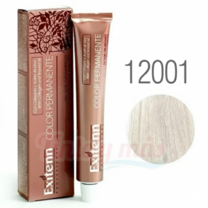 12001 PLATA CENIZA S/A