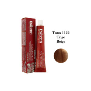 11.22 TRIGO BEIGE S/A