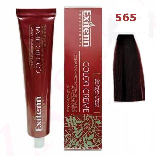 565 ROJO AMATISTA S/A